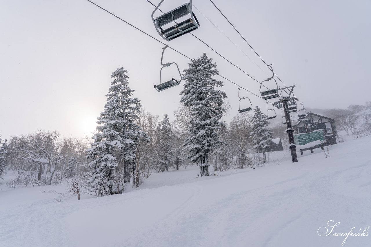 大雪山層雲峡・黒岳ロープウェイスキー場｜極上のふわっふわ粉雪が、たっぷり♪厳冬期を迎えた黒岳のパウダーは、レベルが違います☆